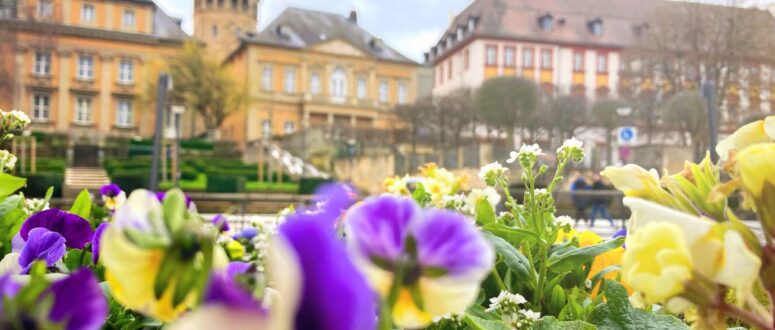 Bayreuth im Frühling, Blumen in der Innenstadt