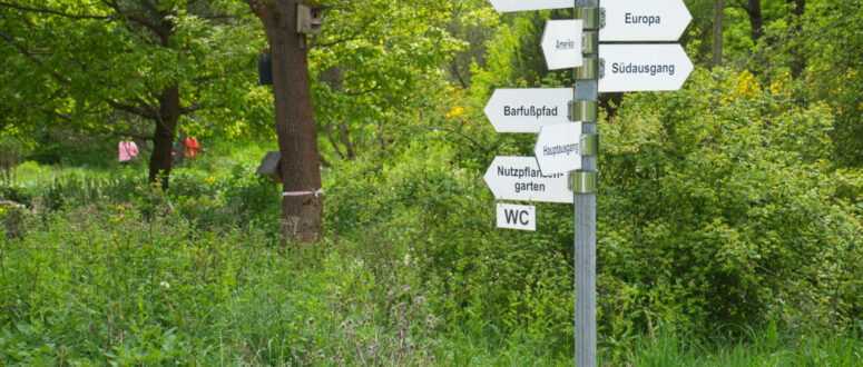 Bayreuth in Bildern: Der Ökologisch-Botanische-Garten