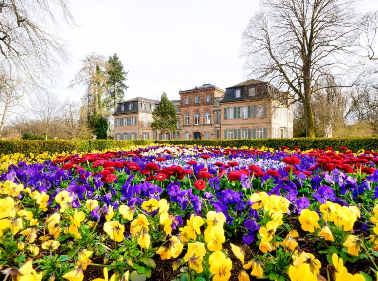 Fruehling Schlosspark Fantaisie_3950631 (c) Mikhail Butovskiy_klein